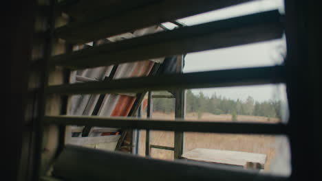 view-through-window-of-abandoned-zinc-roofed-triangle-log-cabin-in-a-field-of-serrated-tussock-grass-and-caribbean-pine-trees-in-the-mountains-with-cloudy-sky