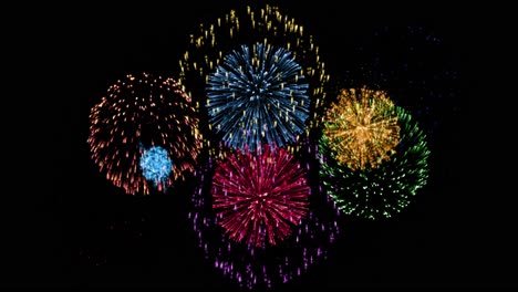 Animación-De-Coloridos-Fuegos-Artificiales-Sobre-Fondo-Negro