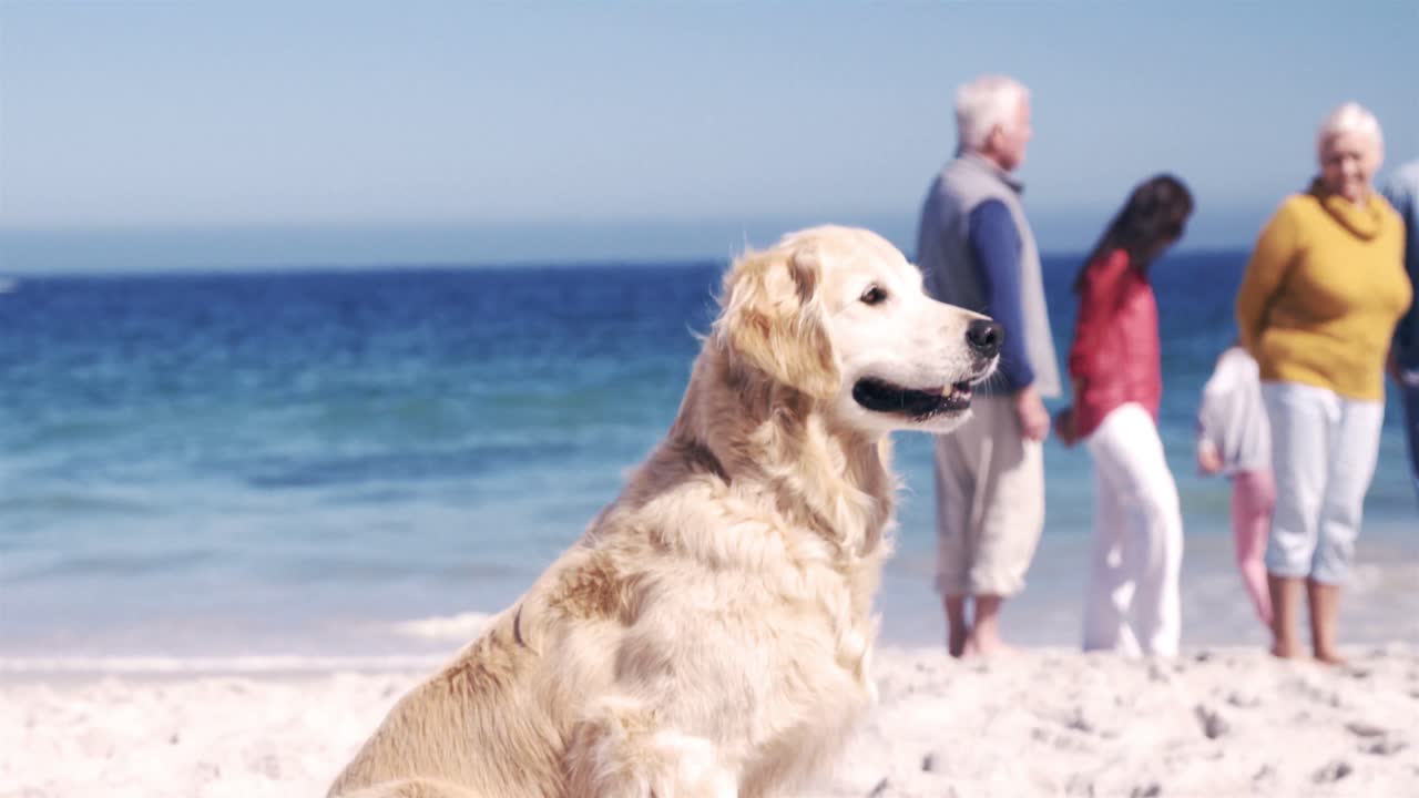 세 세대의 가족이 함께 서 있습니다.