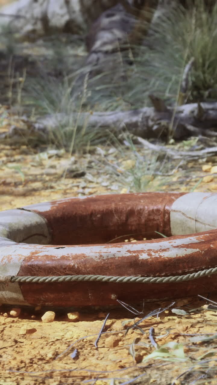 Pneu velho jogado em um chão arenoso entre grama seca e plantas do deserto