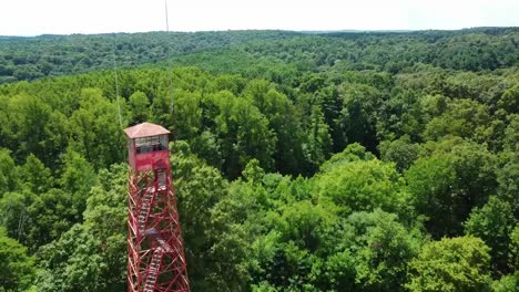 Drone-De-Bosque-De-Torre-De-Fuego-2