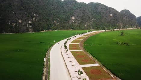 vehicles travelling a road that cuts through the middle of rice paddy fields