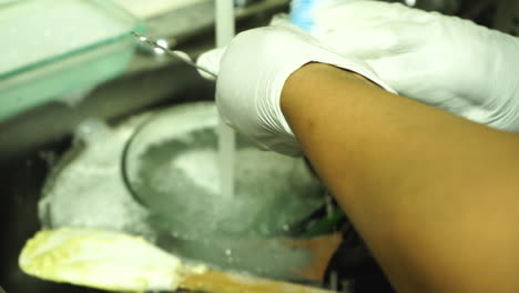 housewife washing dishes in the sink under running water