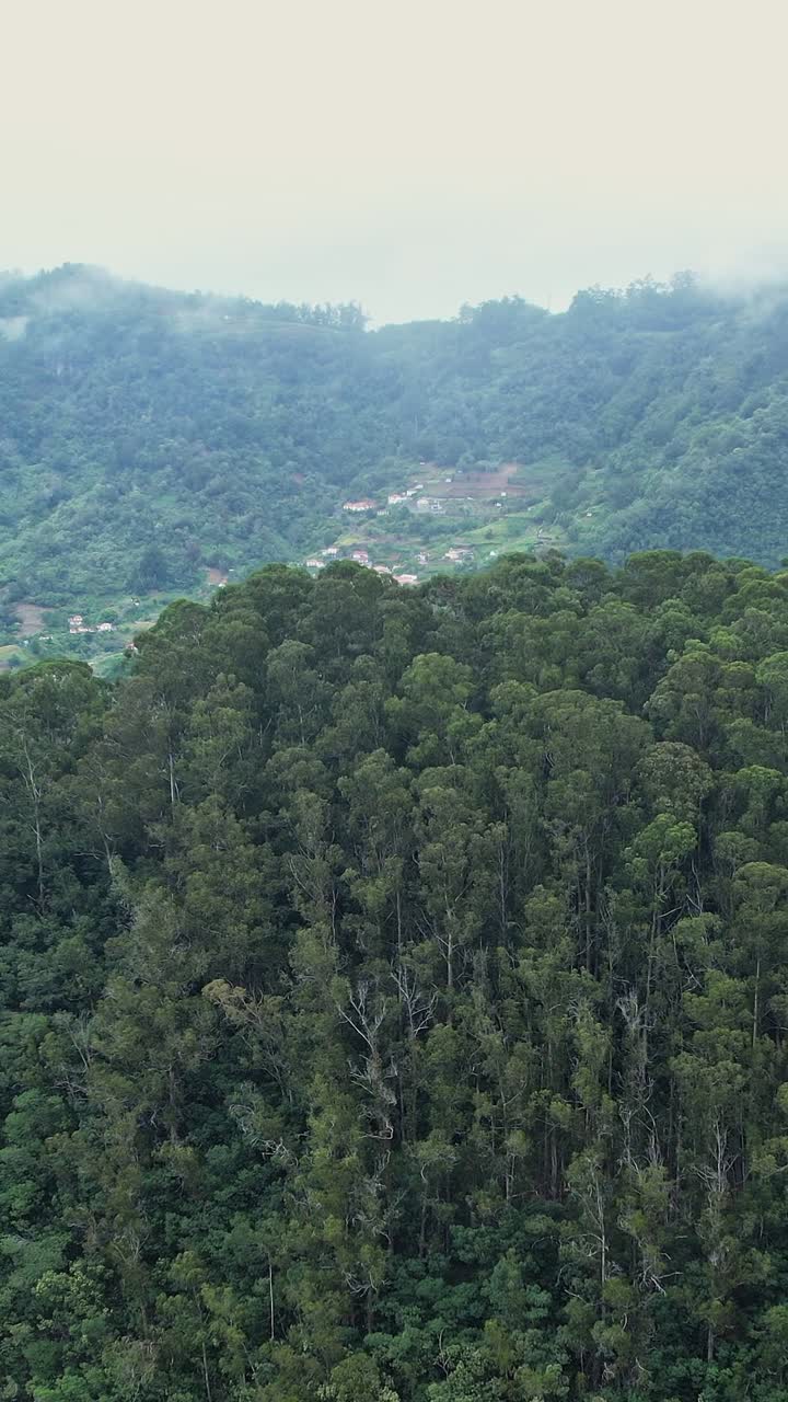Splendida vista aerea delle lussureggianti montagne e della costa di Madeira