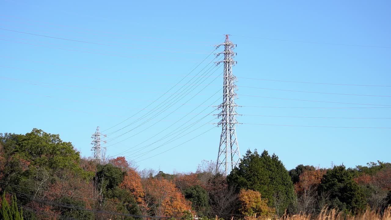Vista Pacífica de Parques Japoneses Locais em um Dia Claro.