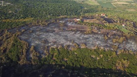 Aerial-of-burnt-forest-that-was-destroyed-by-wildfires-in-northern-Greece,-August-2023