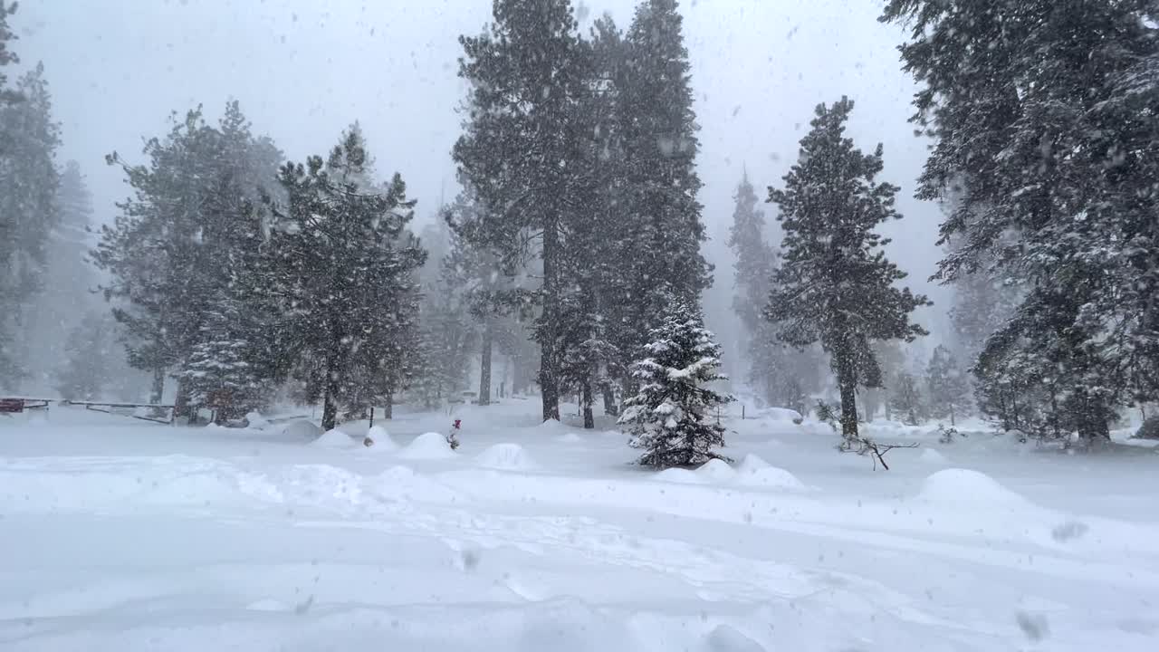 metragem 4k de uma tempestade de neve no parque nacional de sequoia