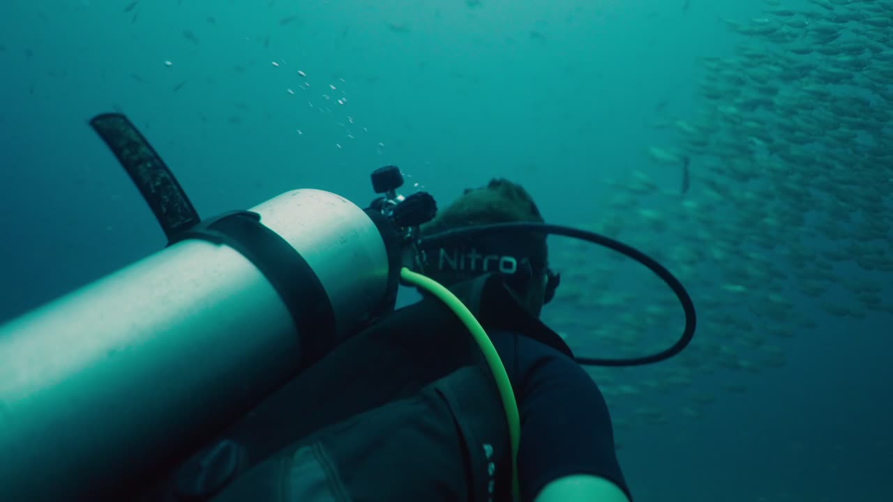 Scuba Diver Swimming with a School of Fish Underwater