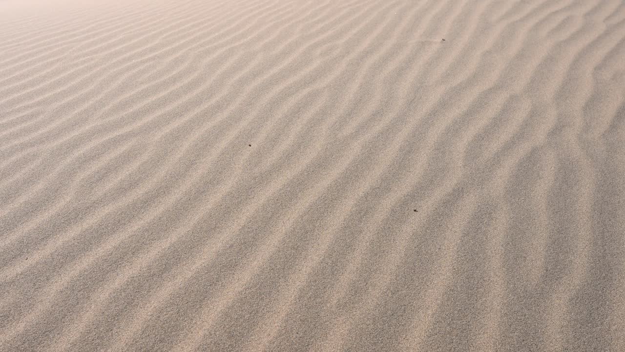 The remote Durgun Nuur desert in Mongolia, where constant winds shape the sand dunes into beautiful, flowing patterns. A view of the unique landscape