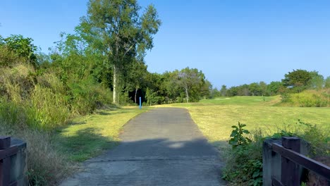 a peaceful walk through lush greenery