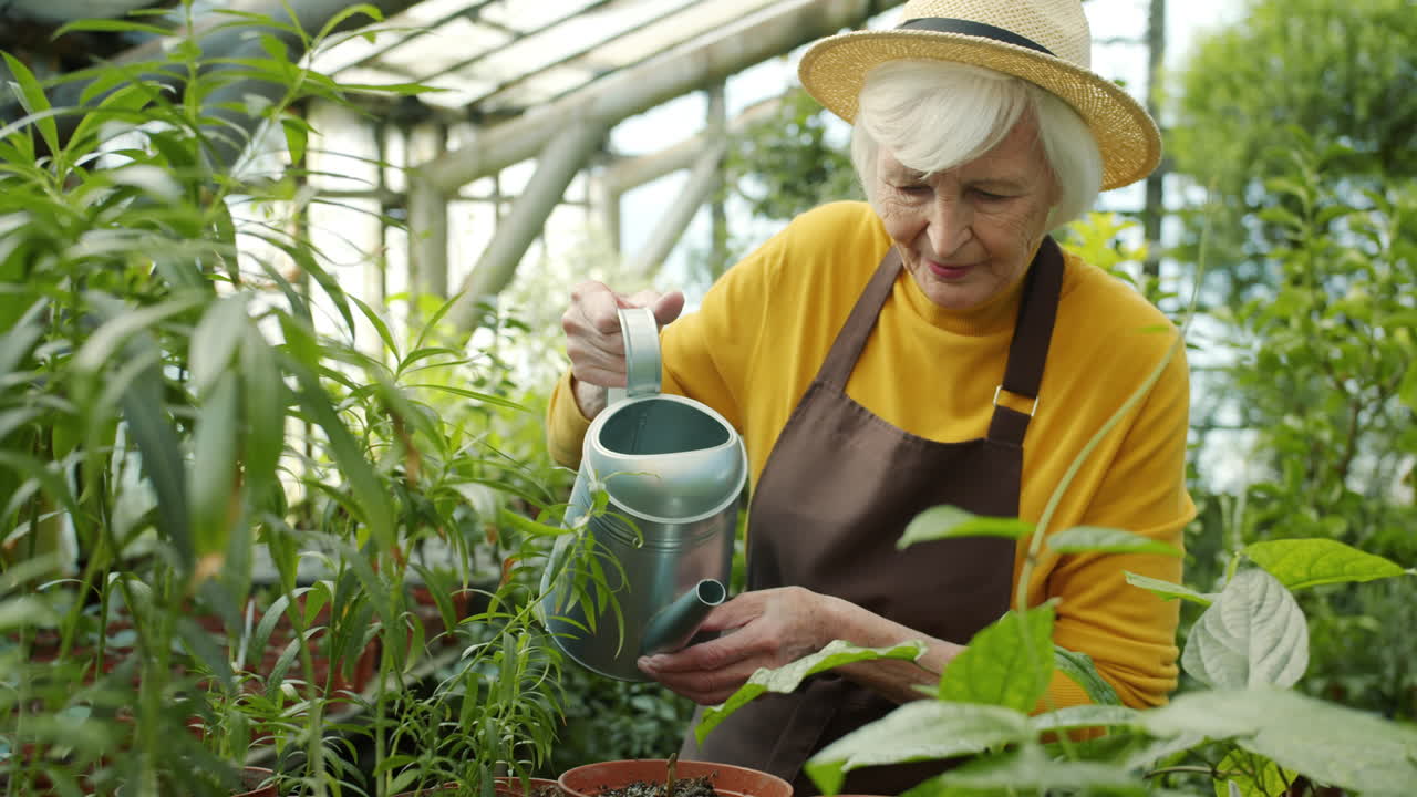 Senior Woman Watering Plants in a Greenhouse