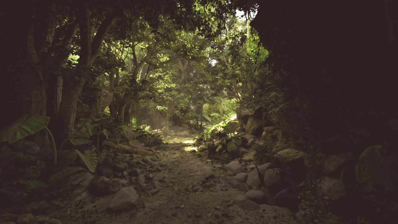 Ambiente ricco perfetto per la ricerca ecologica e lo storytelling.