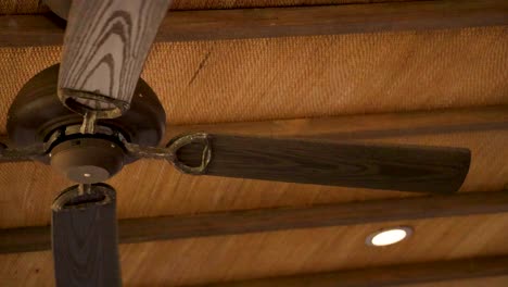 a ceiling fan rotates steadily against a wooden ceiling, creating a calm and ambient atmosphere