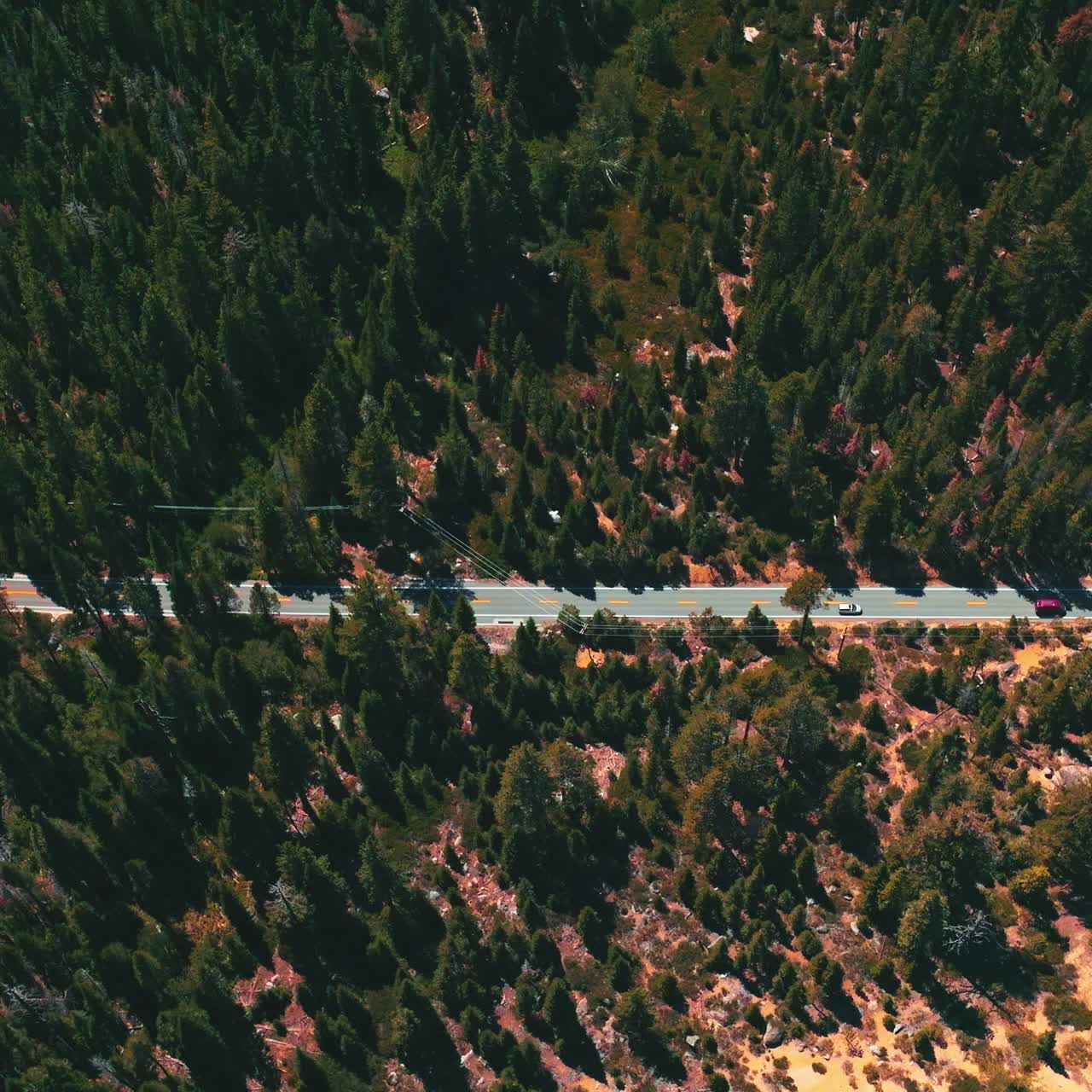 Rocky landscape covered with pine trees. Speed highway crossing the wildlife forest on sunny day footage. Top view
