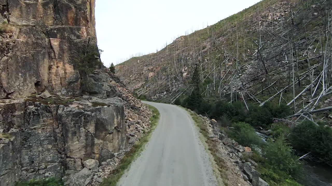 밀 크릭 스노호미시 카운티 fpv 무인 항공기가 삼림 벌채된 숲을 통과합니다.