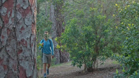 Männlicher-Wanderer,-Der-Im-Wald-Spaziert