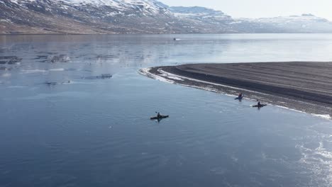 bright sunny day in reydarfjordur fjord with kayakers landing on iceland shore, aerial