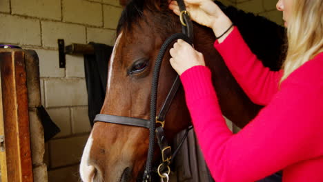 Woman-wearing-rein-to-horse-in-stable-4k