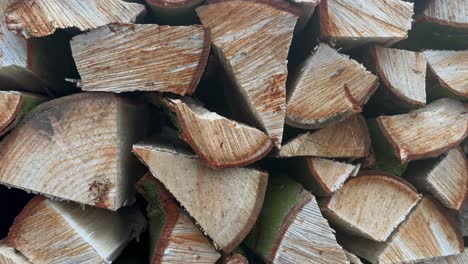 Close up pan across chopped firewood logs stacked loose to dry out