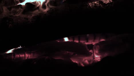 fogata en la noche