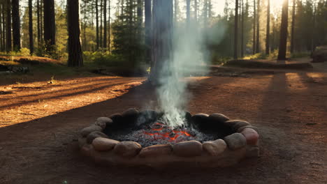 campfire in a forest with rising smoke