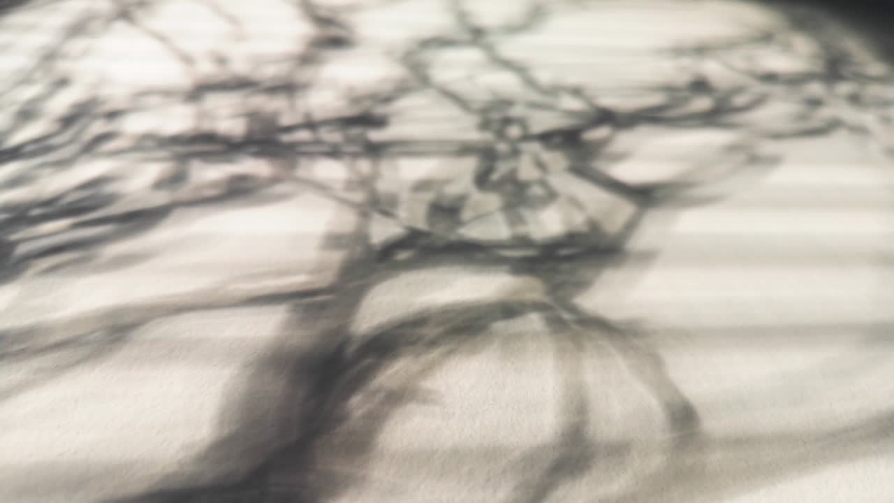 배경으로 빛과 그림자의 기하학적 놀이