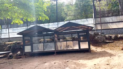 animal enclosure at a zoo