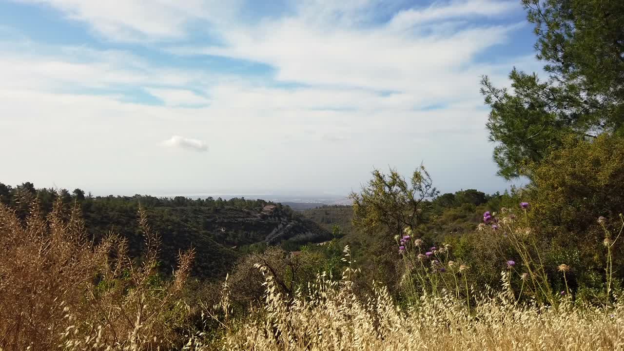Abandoned farmland rests in contrast, captured from a path leading into Cyprus’s peaceful Souni Forest.