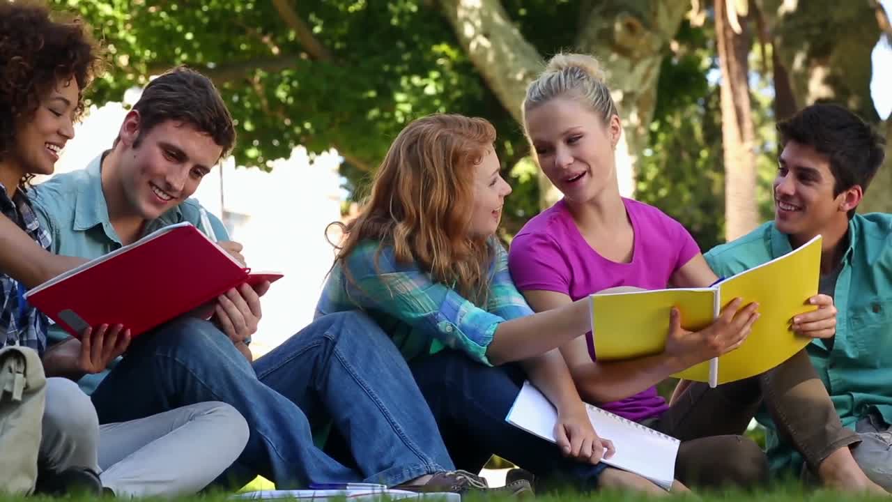 Estudiantes sentados en el césped y charlando juntos