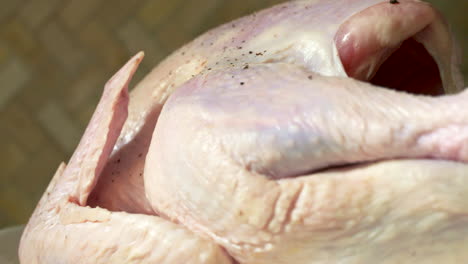 whole turkey ready to be roasted for thanksgiving dinner