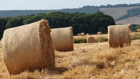 round hay bails in a field in england