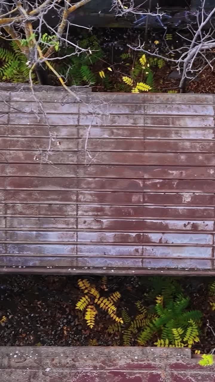 Gammel sti dækket af blade et sted i Grækenland om efteråret