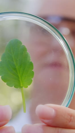 female scientist researching leaf