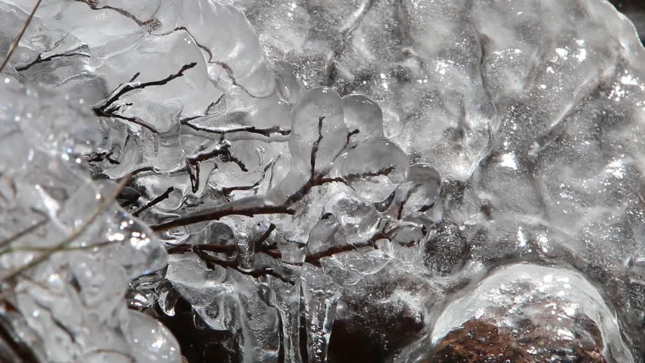 ramas encerradas en hielo derretido