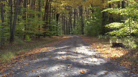 Die-Herbstblätter-Fallen-In-Den-Wald-Entlang-Einer-Unbefestigten-Straße