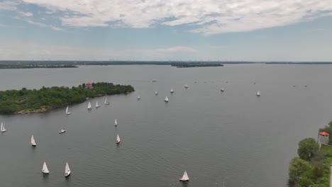 toma aérea grupo de veleros a lo largo de un lago en un día de verano