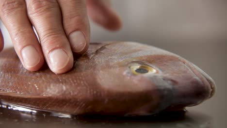 Close-up-shot-of-a-human-finger-pressing-on-a-fresh,-raw-fish-on-a-kitchen-surface