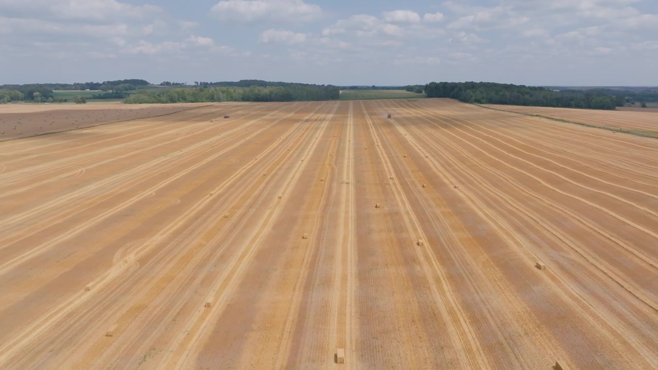 En traktor skördar halmrader i ett vidsträckt jordbrukslandskap i Bruce County, Ontario. Drönarflygningen från hög vinkel fångar geometriska mönster och utspridda runda balar