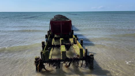 static view of oyster and mussels farming table on shore