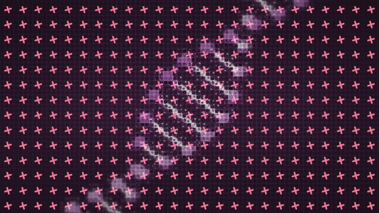 검은 바탕에 회전하는 분홍색 십자가의 격자 위에 회전하는 디지털 dna  ⁇ 의 애니메이션
