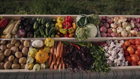 counter with seasonal vegetables at the farmers' market 1