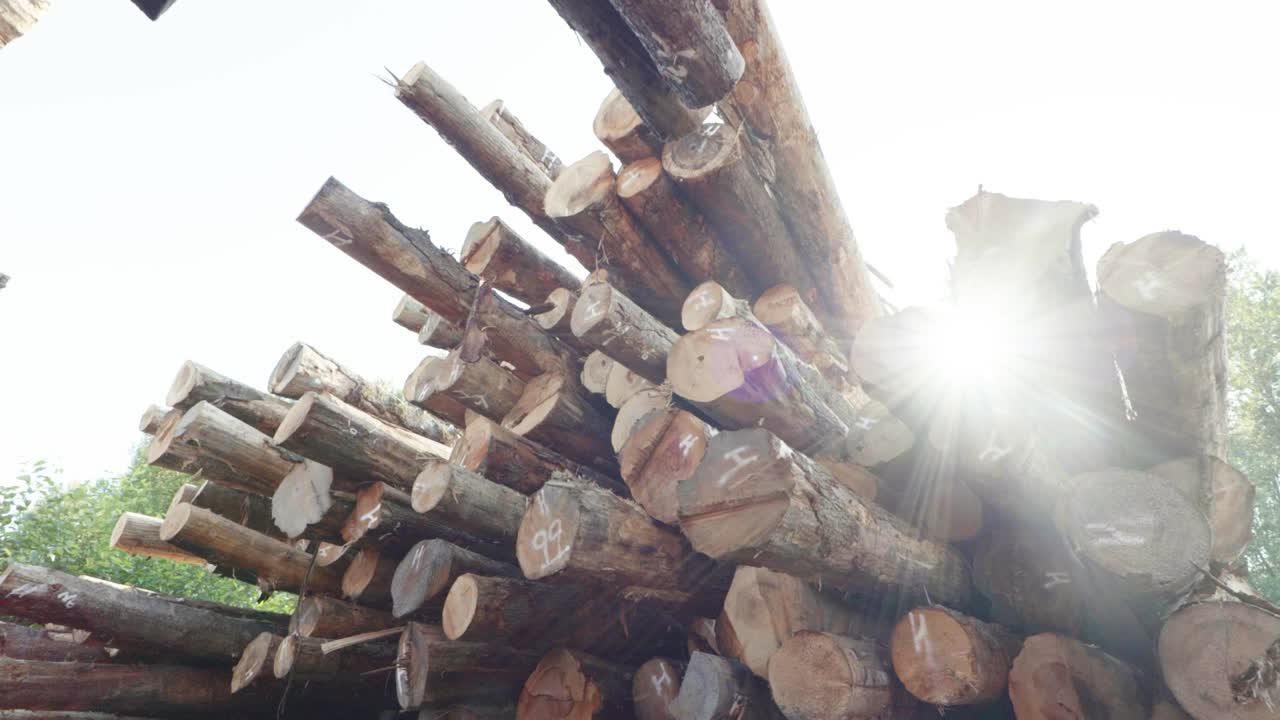 Cinematic view of freshly stacked tree trunks at an industrial riverbank logging factory