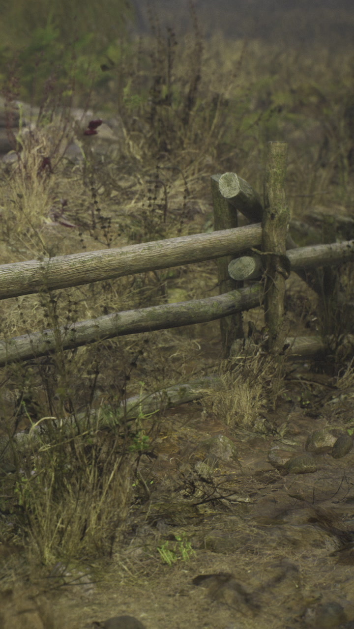 Wooden fence along a dirt path in a natural outdoor area during daytime