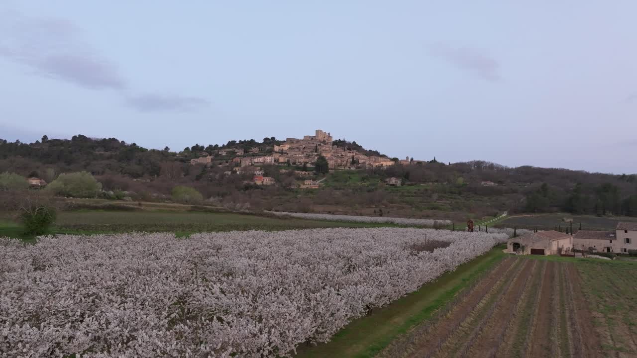 Flygfoto över Lacoste inramat av blommande körsbärsträd i det tidiga ljuset