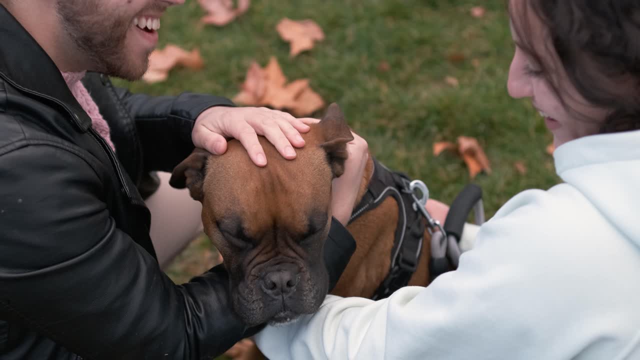 Couple stroking their dog while enjoying a day outdoors together in the park.