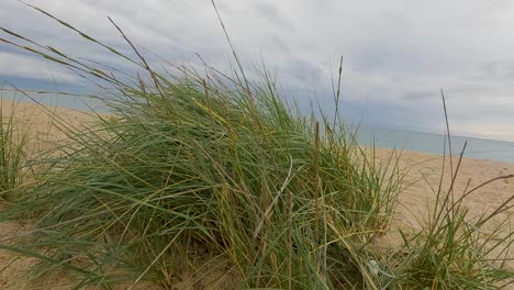 Vorbei-An-Einigen-Grünen-Gräsern-Am-Groben-Sandstrand-Mit-Dem-Meer-Im-Hintergrund-Ein-Bewölkter-Tag-In-Zeitlupe