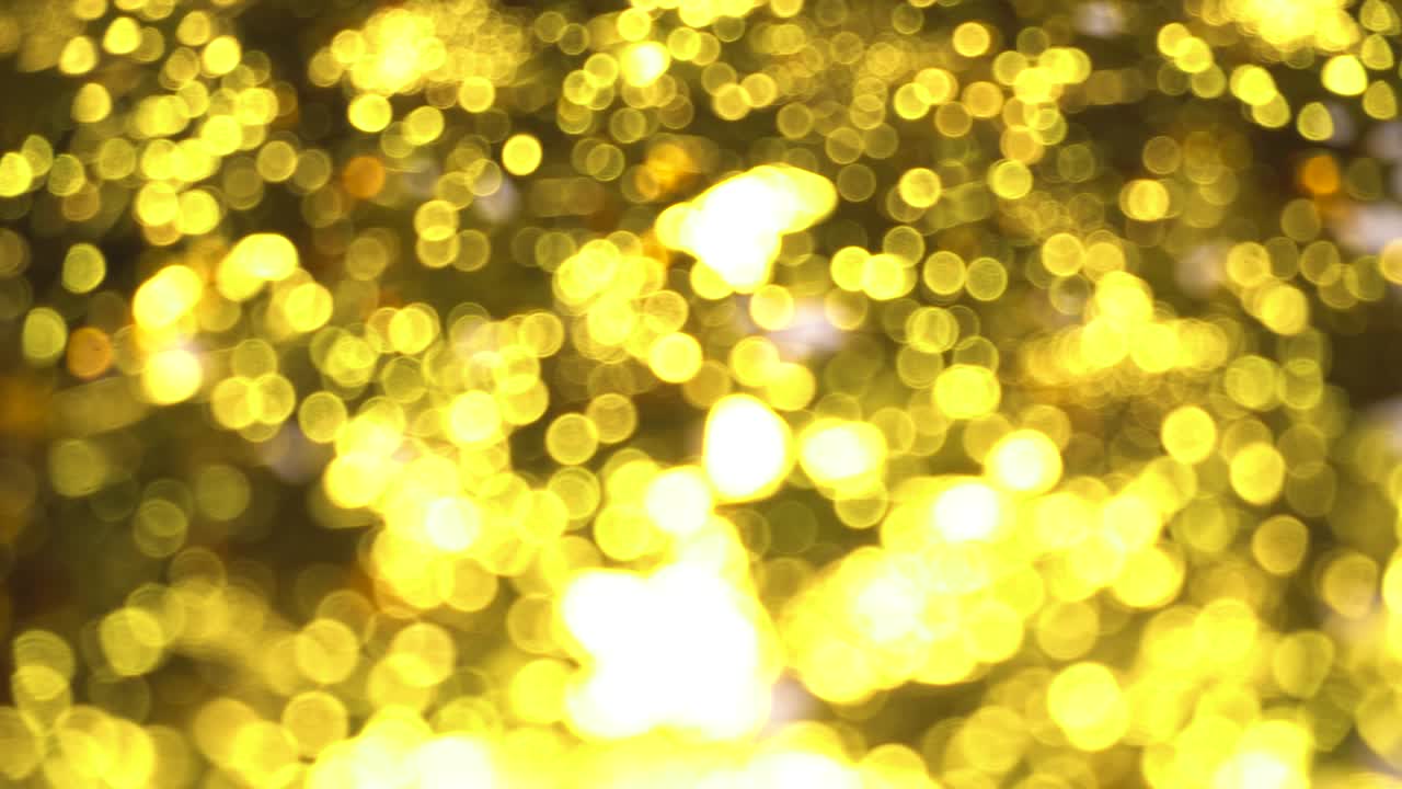 반이는 황금색 흐릿한 배경