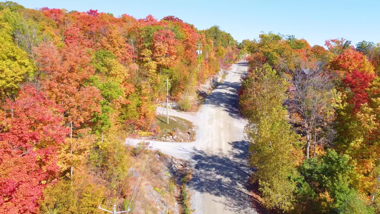 A drone glides down a colorful fall road, showcasing the bright red, yellow, green, and orange leaves illuminated by a sunny day