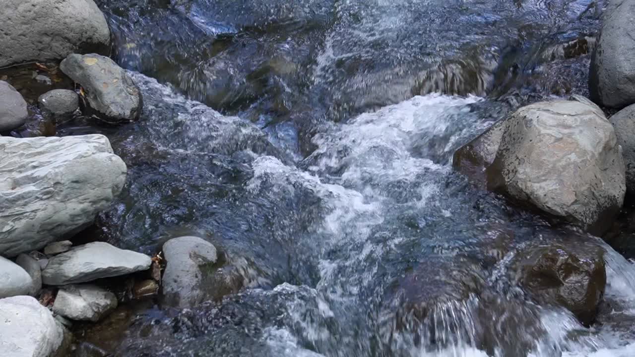 Água fluindo no leito de um pequeno rio na floresta.