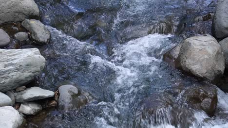 agua que fluye en el lecho de un pequeño río en el bosque